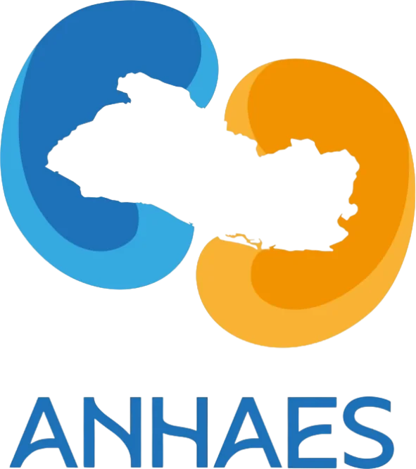 logo-anhaes